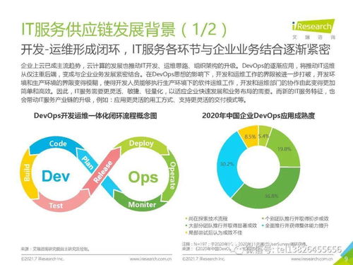 2021年中国IT服务供应链数字化升级研究报告 网络技术服务领域深度解析